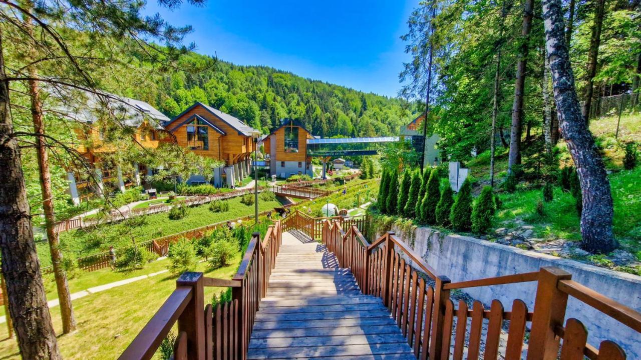 Hotel Czarny Potok & Conference