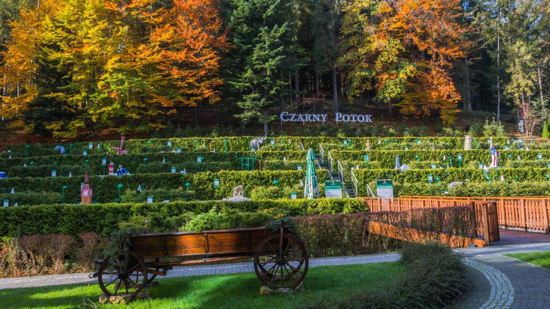 Czarny Potok & Conference 5*
